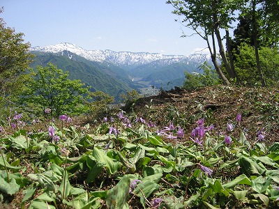 a0038882_15151023.jpg