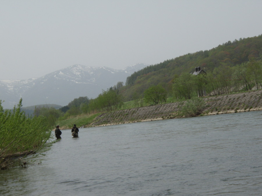 d0127888_004493.jpg