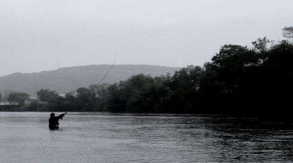 d0127888_02517.jpg
