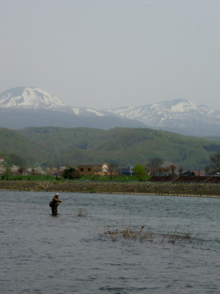 d0127888_032569.jpg