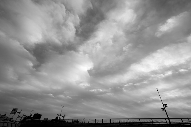 b0067789_2152236.jpg