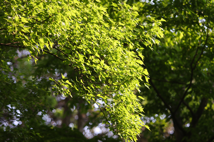 f0164989_0313576.jpg