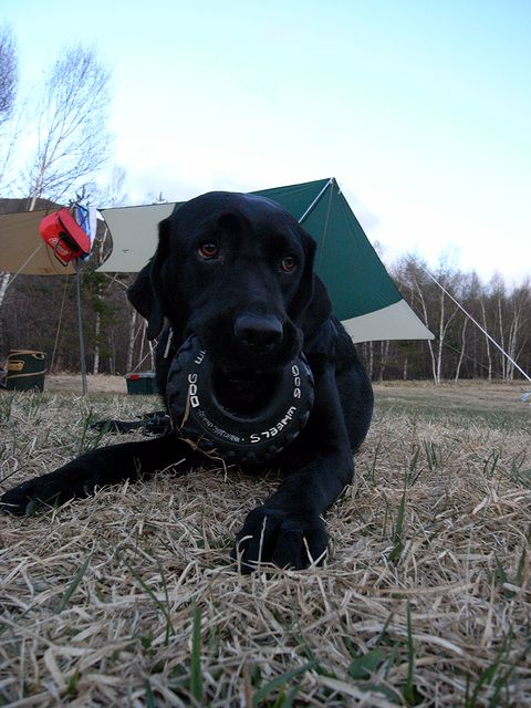 a0093592_22124118.jpg