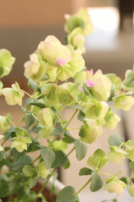 d0100192_22214451.gif