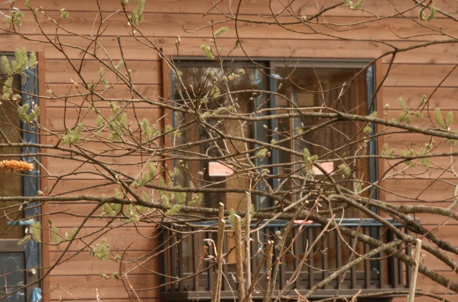 d0133693_21574718.jpg