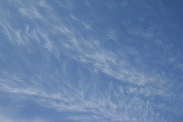 e0122194_7353654.jpg