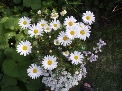 f0130894_22245055.jpg