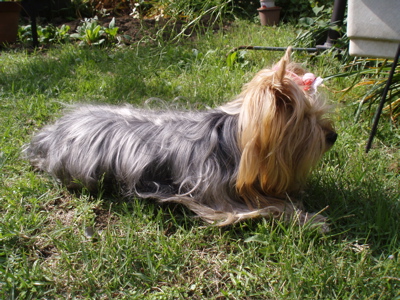 f0130894_22263073.jpg