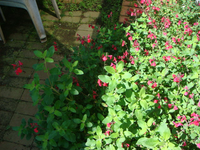 f0137694_0133557.jpg