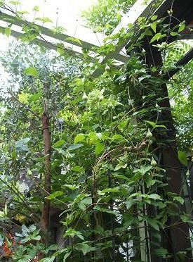 e0082098_2002229.jpg
