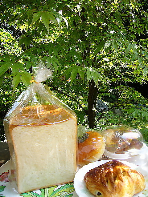 b0114403_914599.jpg