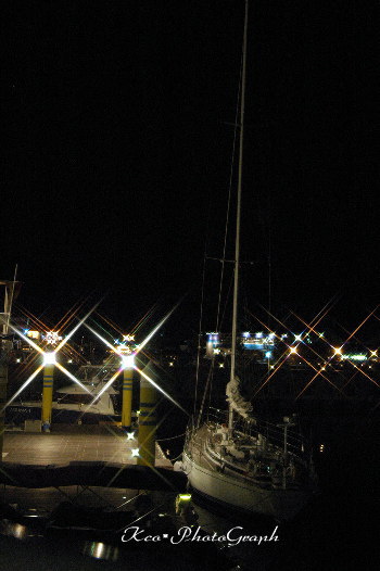 b0127005_891818.jpg