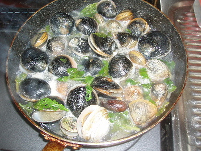 e0071811_21493222.jpg