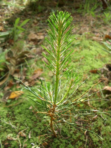 e0034012_23205033.jpg