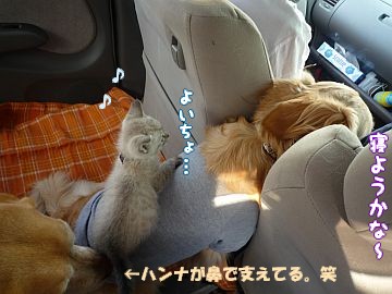 c0087521_11442530.jpg