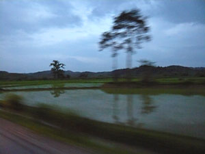 d0023725_23395099.jpg