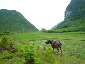 d0023725_2347791.jpg