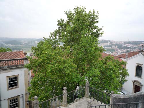 f0147025_14255525.jpg