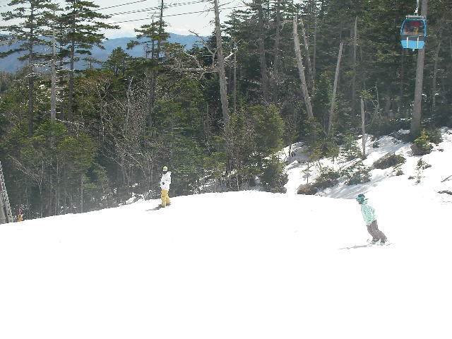 e0089227_1558911.jpg