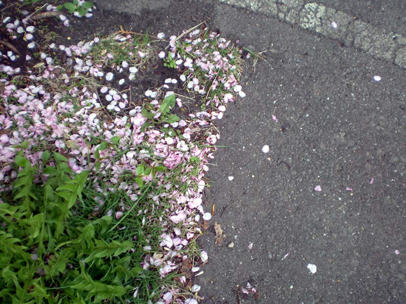 e0037129_0323093.jpg
