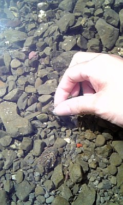 c0154630_13314280.jpg