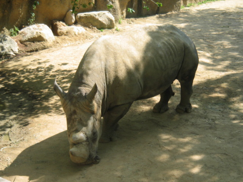 d0017632_85357100.jpg
