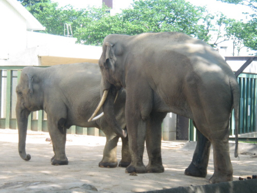 d0017632_8543212.jpg