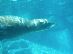 d0017632_9223333.jpg