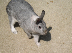 d0017632_98390.jpg