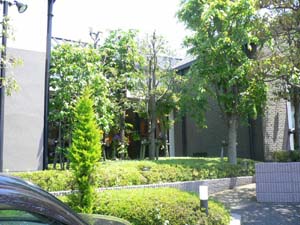 c0133533_22263381.jpg