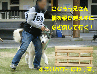 f0008935_1136866.gif