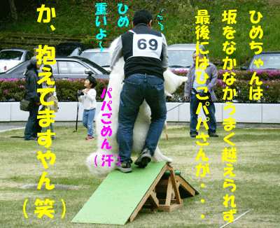 f0008935_11371489.gif