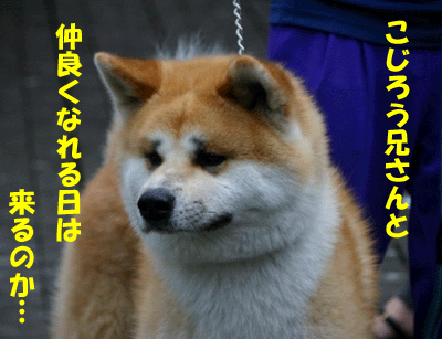 f0008935_11413794.gif
