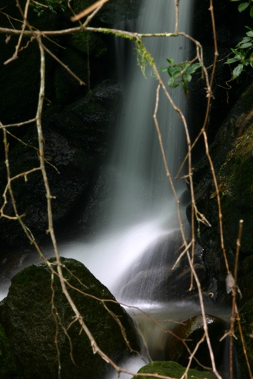 e0083238_231325.jpg
