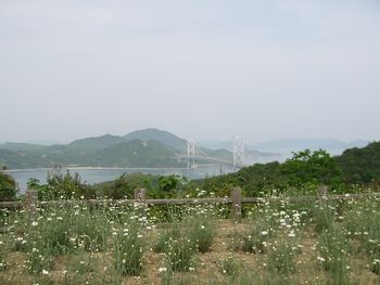 e0076145_0392617.jpg