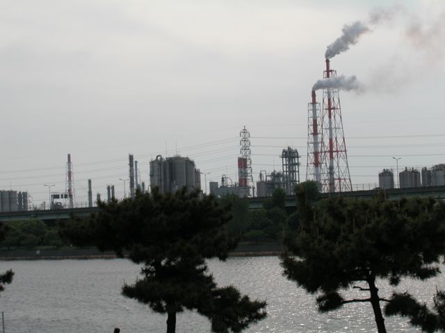 a0063846_1954333.jpg