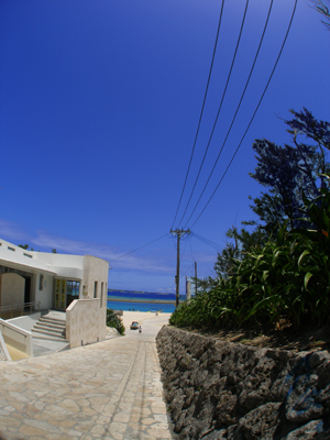 d0065247_2283527.jpg
