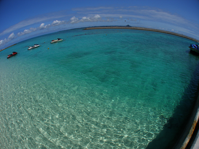 d0065247_2284675.jpg