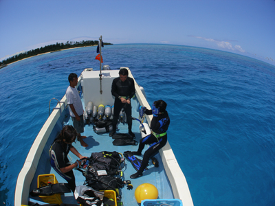 d0065247_228587.jpg