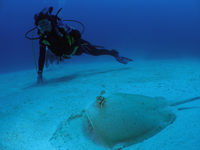 d0065247_2294251.jpg