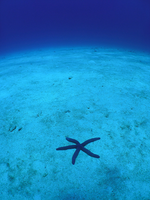 d0065247_229853.jpg
