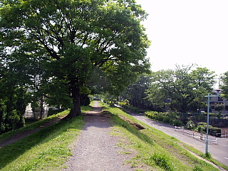 c0123149_1573746.jpg