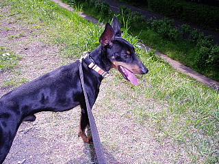 c0123149_1593975.jpg