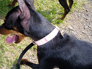 c0123149_1595290.jpg