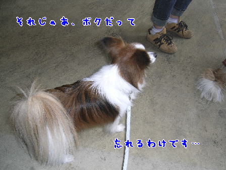 d0013149_8432637.jpg