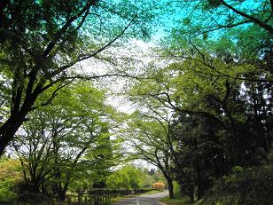 c0145250_1345050.jpg