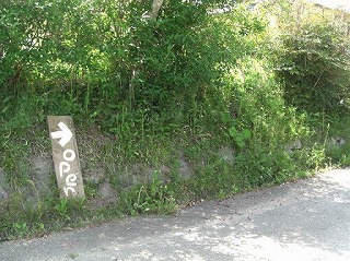 f0009451_1351314.jpg