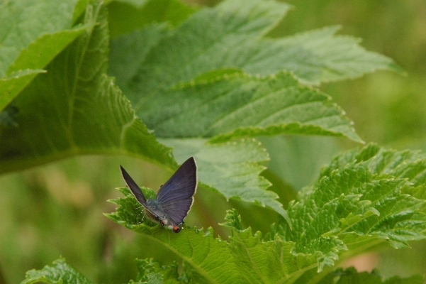 d0098057_4442729.jpg