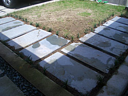 c0051759_163120100.jpg