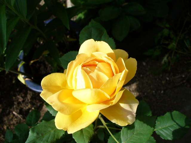 f0074659_2227465.jpg